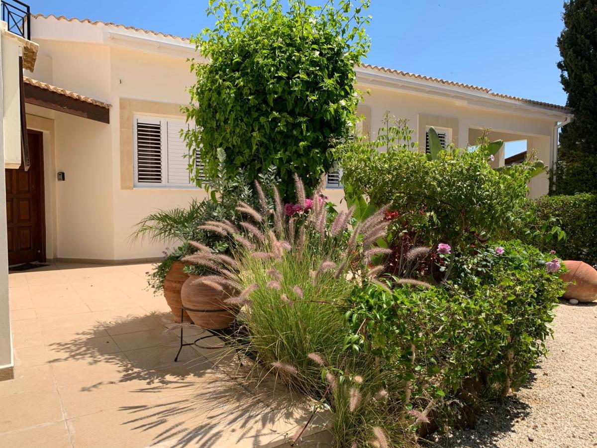 Beach Villa Sofia 네오 초리오 외부 사진