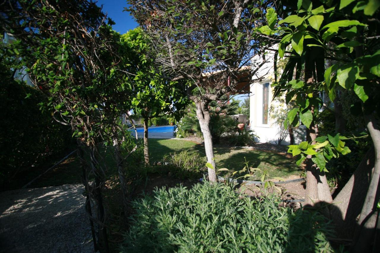 Beach Villa Sofia 네오 초리오 외부 사진
