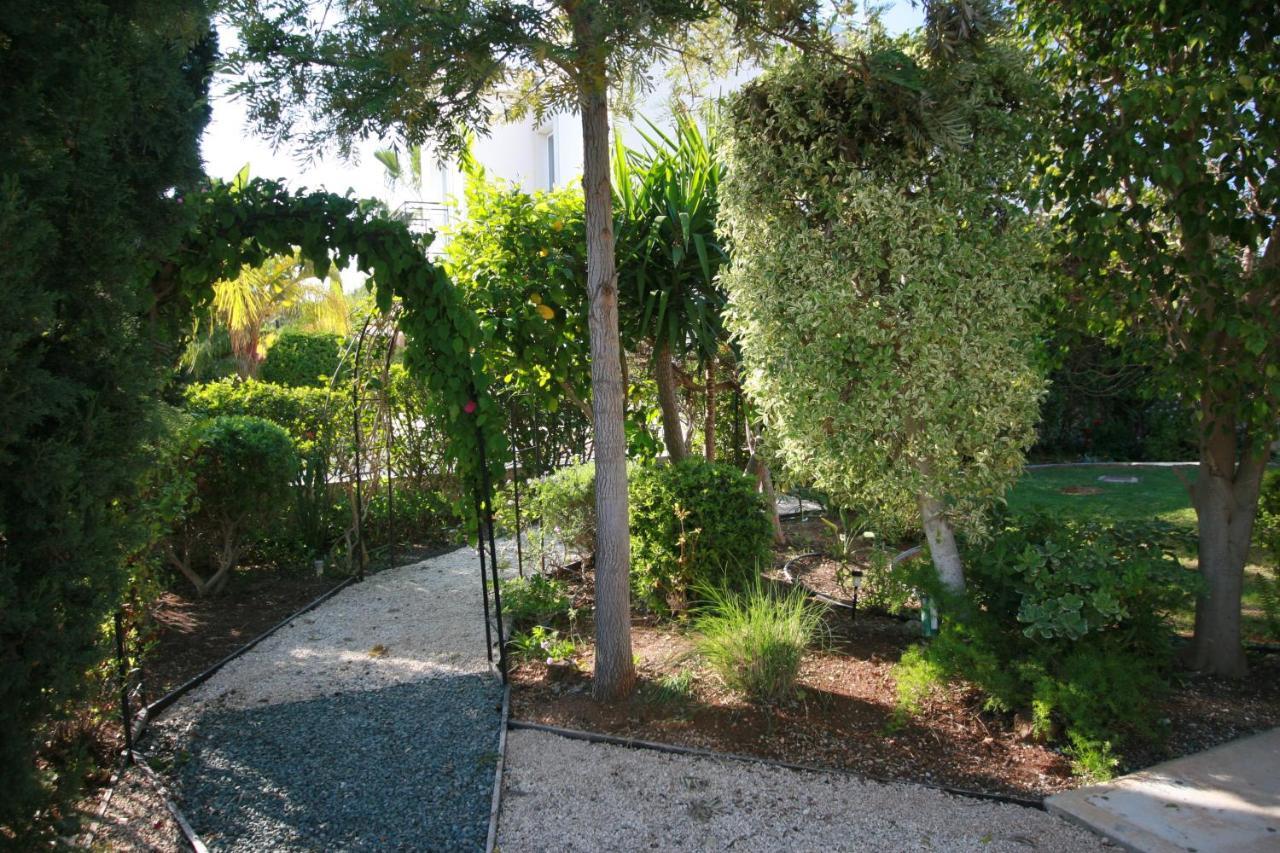 Beach Villa Sofia 네오 초리오 외부 사진