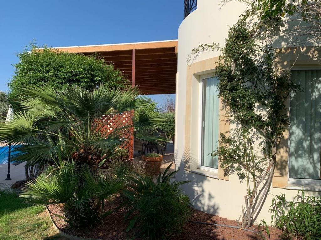 Beach Villa Sofia 네오 초리오 외부 사진